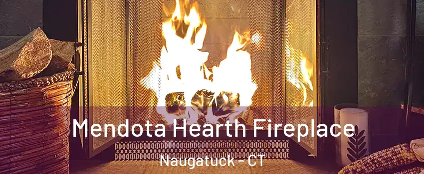  Mendota Hearth Fireplace Naugatuck - CT