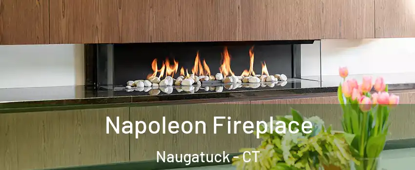  Napoleon Fireplace Naugatuck - CT