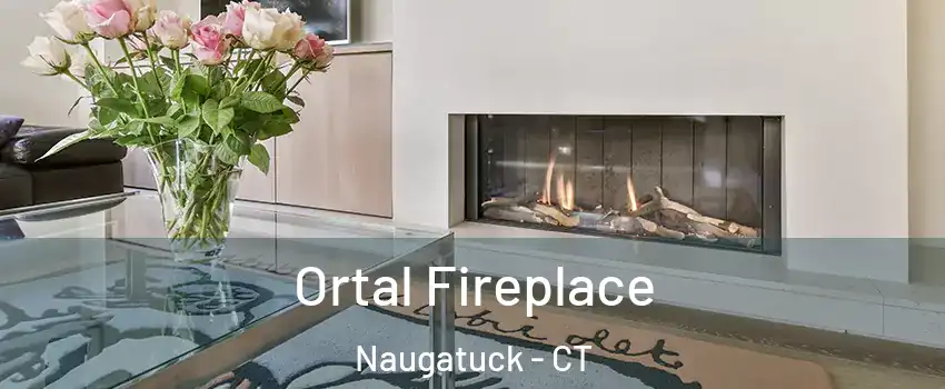Ortal Fireplace Naugatuck - CT
