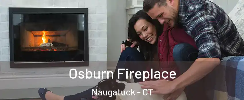  Osburn Fireplace Naugatuck - CT