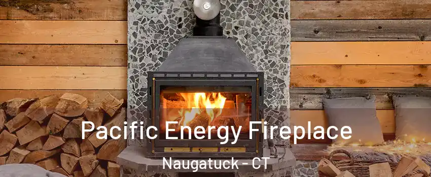  Pacific Energy Fireplace Naugatuck - CT