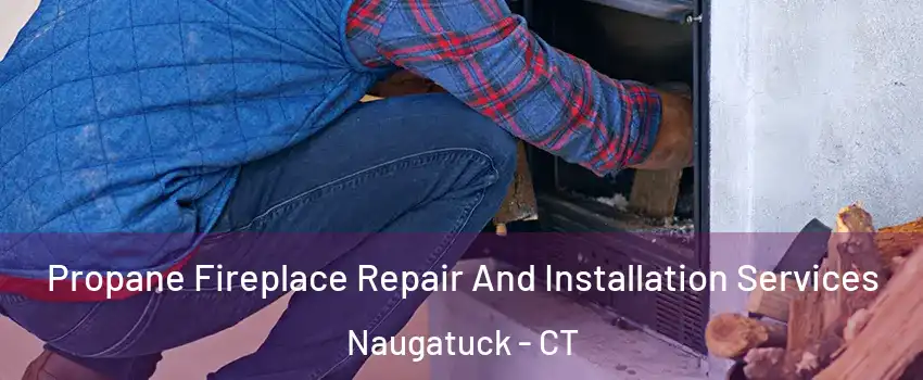  Propane Fireplace Repair And Installation Services Naugatuck - CT