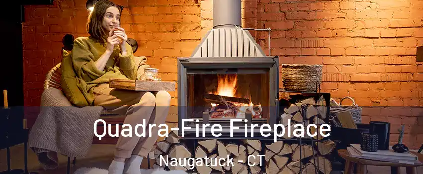  Quadra-Fire Fireplace Naugatuck - CT
