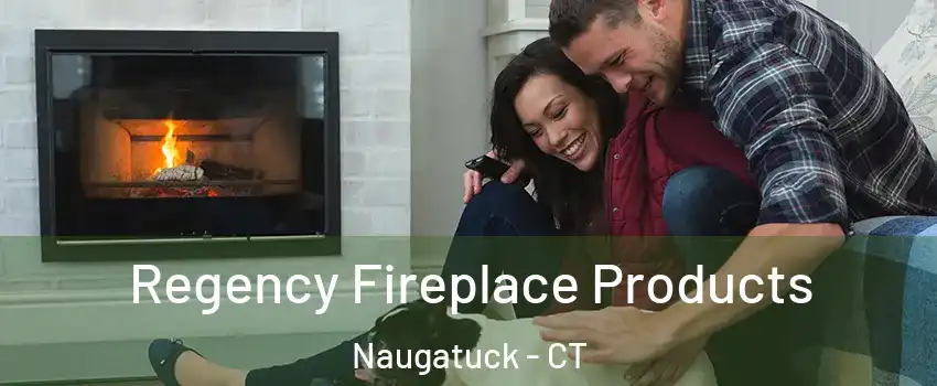 Regency Fireplace Products Naugatuck - CT