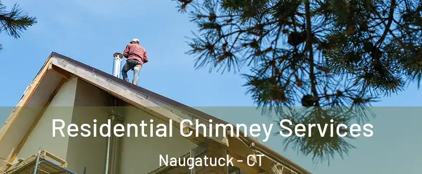  Residential Chimney Services Naugatuck - CT