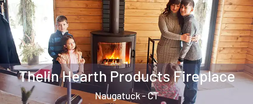  Thelin Hearth Products Fireplace Naugatuck - CT