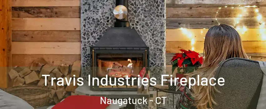  Travis Industries Fireplace Naugatuck - CT
