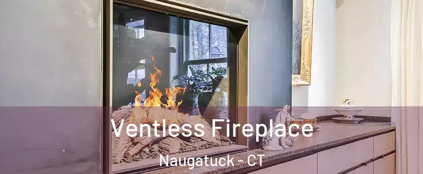  Ventless Fireplace Naugatuck - CT