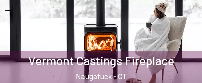  Vermont Castings Fireplace Naugatuck - CT
